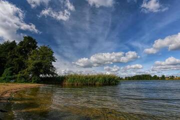 Фото номера Дом с 4 спальнями Дома для отпуска Skarlinówka г. Wawrowice 78