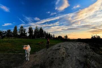 Фото номера Дом с 4 спальнями Дома для отпуска Skarlinówka г. Wawrowice 74